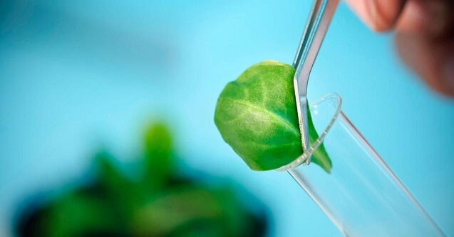 tarımsal genetik mühendisi maaşları ne kadar 1 tarimsal genetik muhendisi calisma saatleri ve calisma sartlari