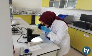 Tarımsal Genetik Mühendisliği 2020 Taban Puanları ve Başarı Sıralamaları