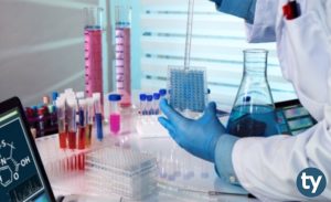 Tıbbi ve Aromatik Bitkiler 2020 Taban Puanları ve Başarı Sıralamaları