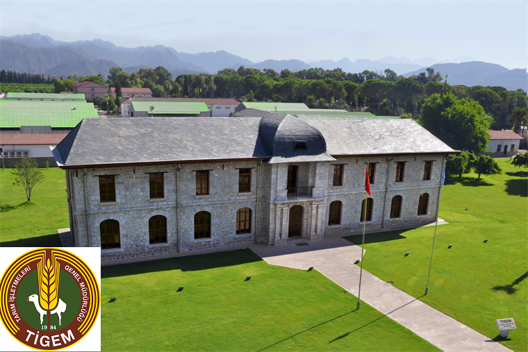 tarım i̇şletmeleri genel müdürlüğü ti̇gem müfettiş yardımcılığı alım i̇lanı 2019 1 tigem binasy