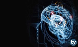 TM Bölümleri Nelerdir? TM Bölümler Nasıl Tercih Edilebilir?