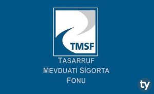 TMSF Fon Uzman Yardımcılığı Nedir? Maaşı Ne Kadar?