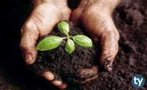 Toprak Bilimi ve Bitki Besleme 2020 Taban Puanları ve Başarı Sıralamaları