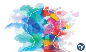 TS Bölümleri Nelerdir? TS Bölümler Nasıl Tercih Edilebilir?