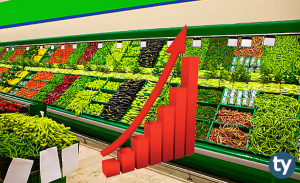 TÜİK Verilerine Göre ÜFE ve TÜFE'de Yıllara Göre Enflasyon Oranları (2005-2020)