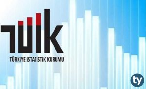 Türkiye İstatistik Kurumu Uzman Yardımcılığı Alım İlanı 2019