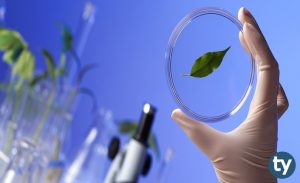 TYT Biyoloji Konuları 2020 Nelerdir? (ÖSYM – YÖK – MEB)