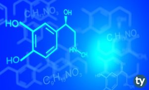 TYT Kimya Konuları 2020 Nelerdir? (ÖSYM – YÖK – MEB)