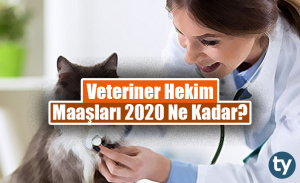 Veteriner Hekim Maaşları 2023 Ne Kadar?