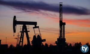 Yağ Endüstrisi 2020 Taban Puanları ve Başarı Sıralamaları