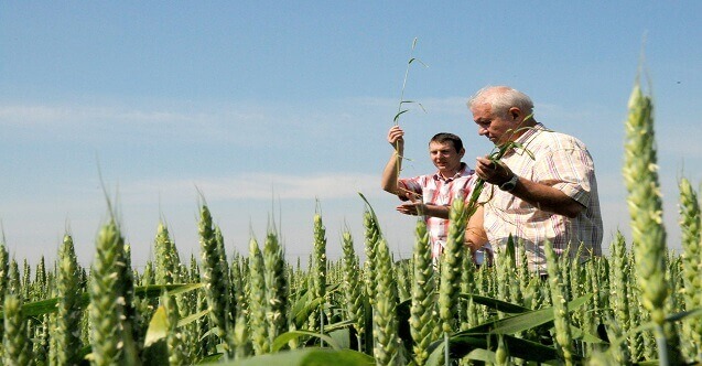 ziraat mühendisi maaşları ne kadar? 1 ziraat muhendisi ne is yapar