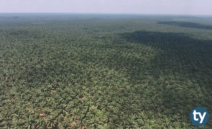 Ziraat Teknisyeni 2020/7 KPSS Atama Taban Puanları