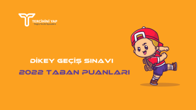 dgs taban puanlari