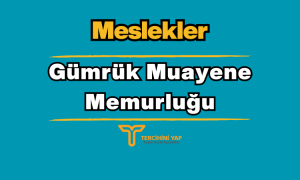 Gümrük Muayene Memurluğu Mesleği