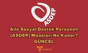 Aile Sosyal Destek Personeli (ASDEP) Maaşları 2024 Ne Kadar?