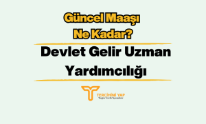 Devlet Gelir Uzman Yardımcılığı DGUY 2023 Maaşı Ne Kadar?