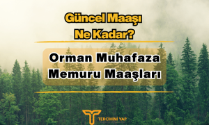 Orman Muhafaza Memuru Maaşları 2023 Ne Kadar?
