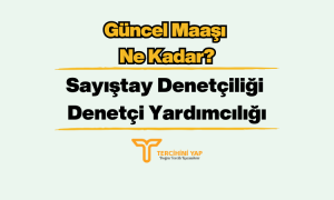 Sayıştay Denetçiliği ve Denetçi Yardımcılığı Maaşı 2024 Ne Kadar?