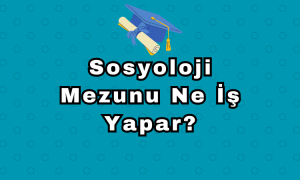Sosyoloji Mezunu Ne İş Yapar?