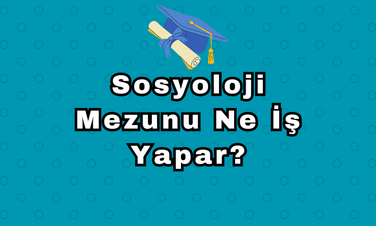 Sosyoloji Mezunu Ne İş Yapar?