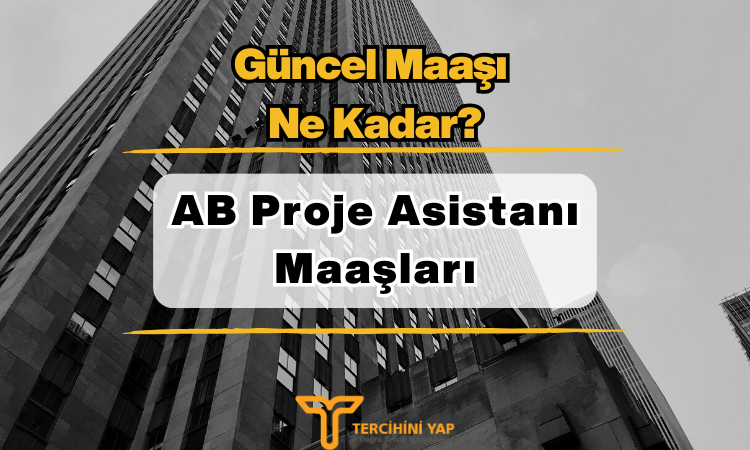 AB Proje Asistanı Maaşları 2024 Ne Kadar?
